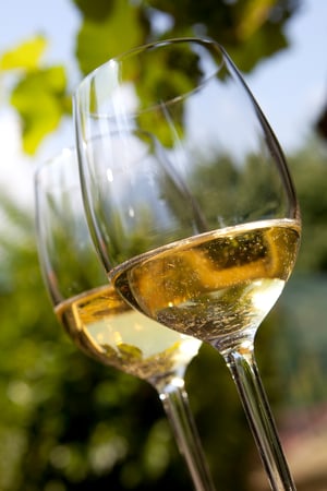 FWM - White Wine Glasses